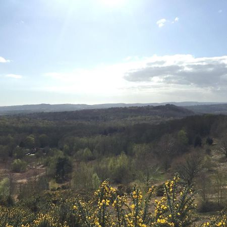 فيلا The Tool Shed Nestled In Idyllic Countryside Linchmere المظهر الخارجي الصورة
