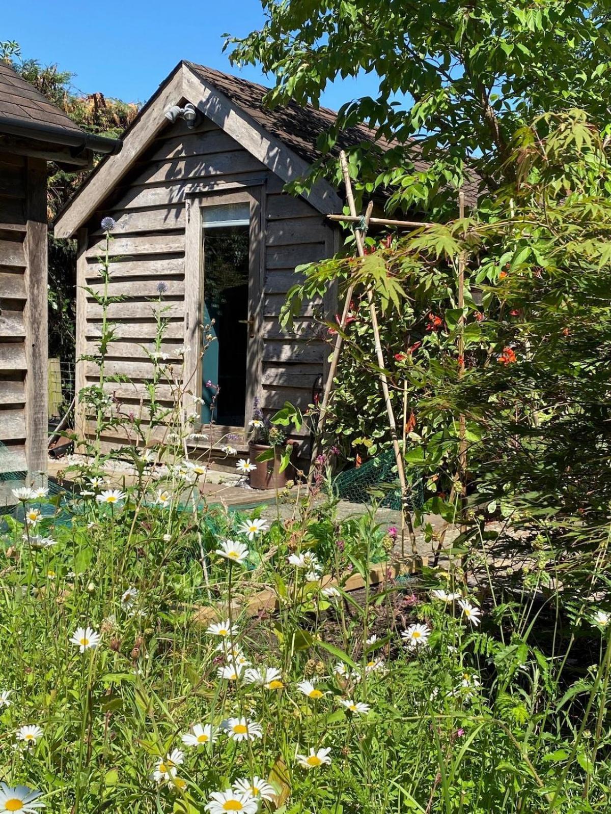 فيلا The Tool Shed Nestled In Idyllic Countryside Linchmere المظهر الخارجي الصورة