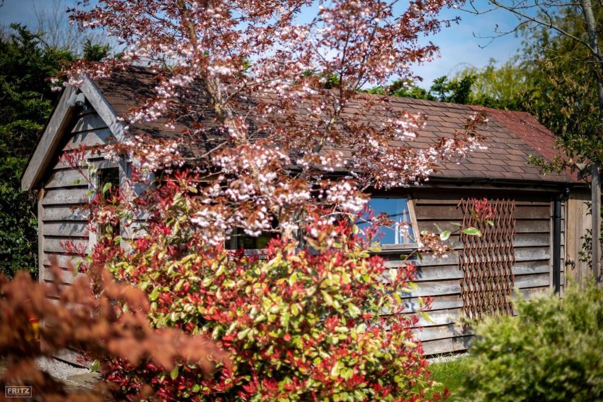 فيلا The Tool Shed Nestled In Idyllic Countryside Linchmere المظهر الخارجي الصورة