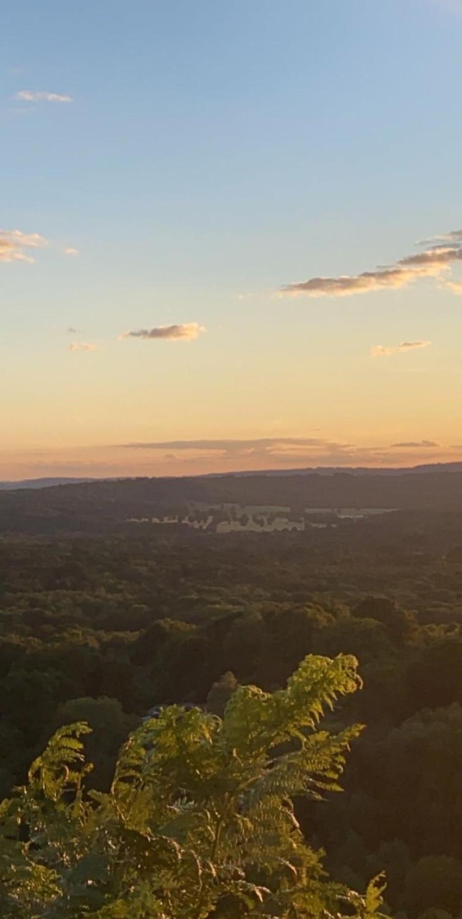 فيلا The Tool Shed Nestled In Idyllic Countryside Linchmere المظهر الخارجي الصورة