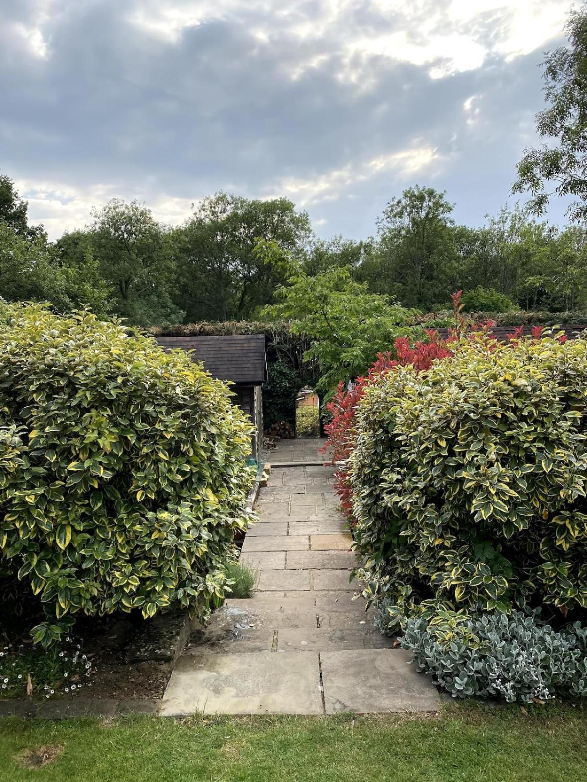 فيلا The Tool Shed Nestled In Idyllic Countryside Linchmere المظهر الخارجي الصورة